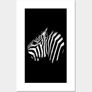 Zebra  - in a circle Posters and Art